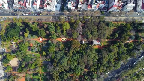 Aerial top-down view of botanical garden in buenos aires Stock Footage 339376241