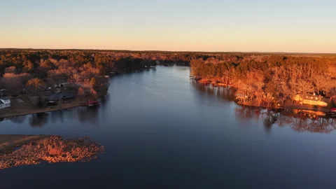 Aerial Top-Down View of Calm Lake and Bare Winter Forest Stock Footage 327802123