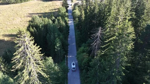 Aerial Top Down View of Camper Van Driving Along Narrow Forest Road 库存影片 343933975