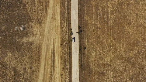 Aerial top down view car on the dirt dry road in tropical area Stock Footage 118741790