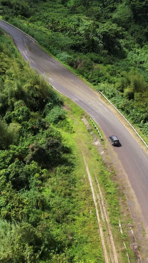 Aerial top down view car driving trough tropical jungle green rainforest. Palm Stock Footage 283114240