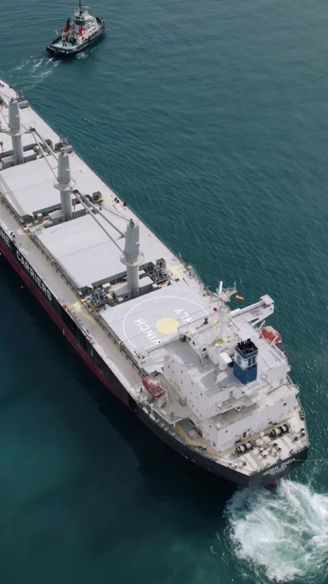 Aerial Top Down View of Cargo Ship Assisted by Tugboats Stock Footage 345824883