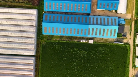 Aerial Top Down View of Cattle Barns and Greenhouse in Gangneung Stock Footage 345366982