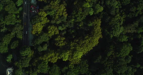 Aerial top down view of Central Park Manhattan in New York during the day under Stock Footage 199463295
