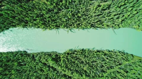 Aerial top down view of Chuya river curves and dense green forest. Amazing Stock Footage 209177180