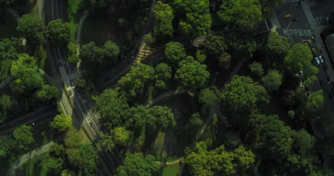 Aerial top down view of city buildings and green park space in New York during t Stock Footage 199462959
