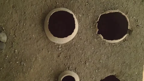 Aerial top down view Clay wine vessels embedded in earth beneath wooden she.. Stock-Footage 311219505