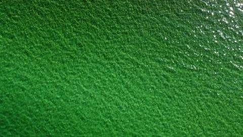 Aerial top down view of clear green sea water - Scotland - Highlands 库存影片 164853003