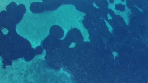Aerial Top-Down View of Clear Turquoise Sea with Dark Underwater Patterns Video stock 298977640