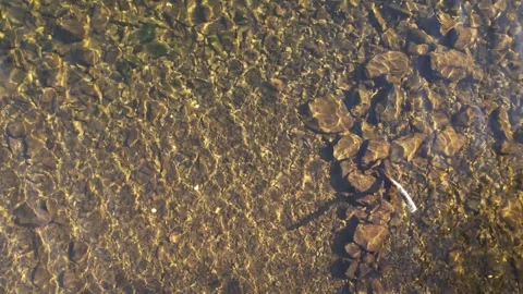 Aerial top-down view of clear lake shallows with minimal movement, Lake District Stock Footage 336507224