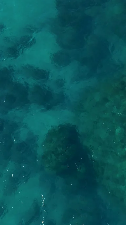 Aerial Top Down View of Clear Turquoise Ocean Water and Reef Stock Footage 342580279
