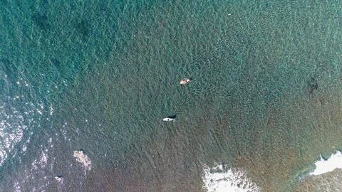 Aerial Top Down View of Clear Turquoise Ocean Water with Surfers Foto stock
