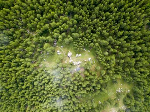 Aerial top down view on clearing in the green pine forest Stock Photos