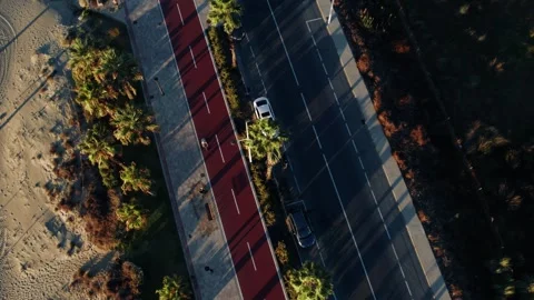 Aerial Top Down View of Coastal Road and Palm Trees Video stock 344529279