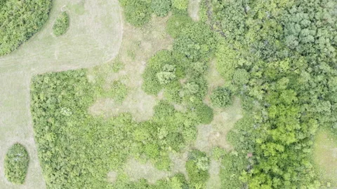 Aerial top down view of colorful grove and agricultural fields Stockbeeldmateriaal 201064320
