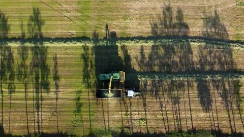 Aerial top down view of combine harvester and chaser bin 4k Stock Footage 235517867