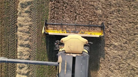 Aerial Top-Down View of Combine Harvester Working in Crop Field Stock Footage 343507448