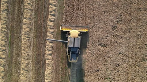 Aerial Top-Down View of Combine Harvester Working in Crop Field Stock Footage 343507565