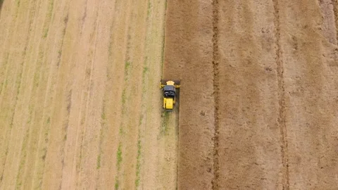 Aerial top down view of combine harvester harvesting grain field Stock Footage 345232093