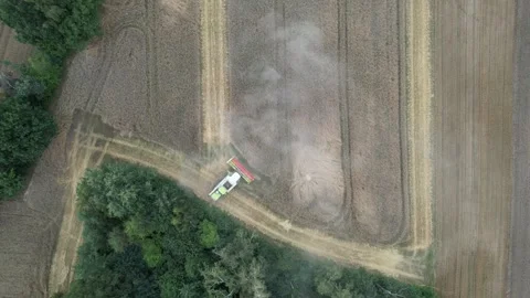 Aerial top-down view of combine harvester cutting wheat field 스톡 동영상 347862023
