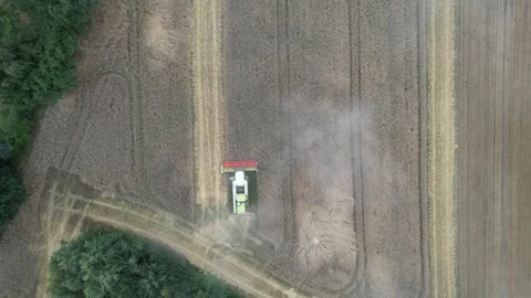 Aerial top down view of combine harvester threshing wheat 스톡 동영상 347862260