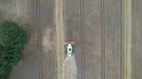 Aerial top down view of combine harvester threshing wheat Stockbeeldmateriaal 347862430