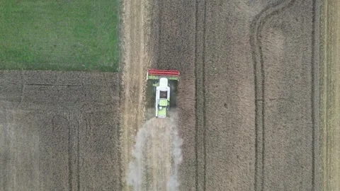 Aerial top down view of combine harvester harvesting wheat field Stock Footage 347862479
