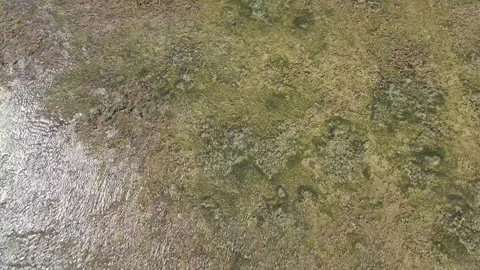 Aerial Top Down View Of Coral Reef At Nyang Nyang Beach Stock Footage 340578003