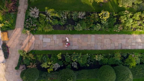 Aerial top down view of couple walking in beautiful garden Stock Footage 336401768
