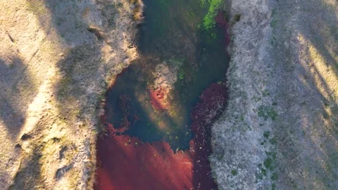 Aerial Top Down View of Creek with Red Algae Bloom Stockbeeldmateriaal 346271083