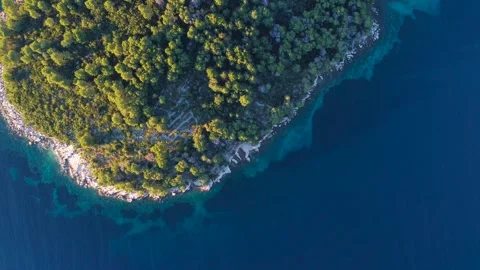 Aerial top down view of croatian forest shore Video stock 340182339