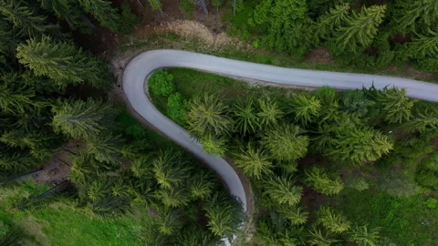Aerial top down view to curvy road in the coniferous forest 스톡 동영상 310809249