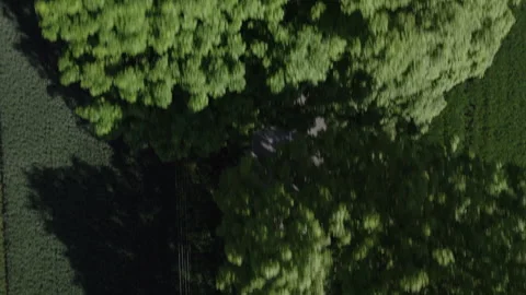 Aerial Top-Down View of Cyclists Riding on a Rural Road in Bavaria, Germany Stock Footage 300281788