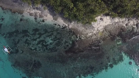 Aerial top down view of Daku Island tropical paradise white sand beach Video stock 126717143