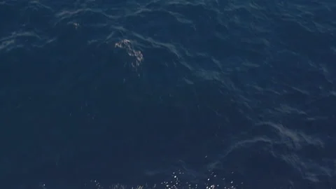 Aerial - Top down view of a deep blue sea. Stock Footage 91071386