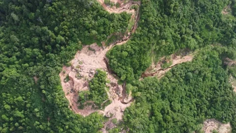 Aerial top down view deforestation Video stock 201082116