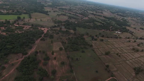 Aerial top-down view of dense green forest canopy and mountain landscape. Stock Footage 343701526