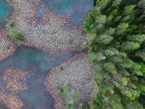 Aerial top down view of a dense green forest and rocky shoreline on a blue la Stock Photos