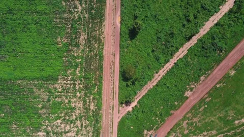 Aerial top down view of dirt road in tropical rainforest during summer in N.. Stock Footage 268706889
