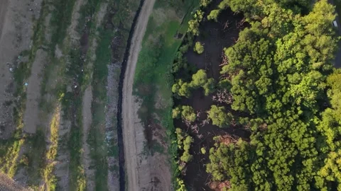 Aerial top down view of dirt path separating green forest and clear land Stock Footage 339758687