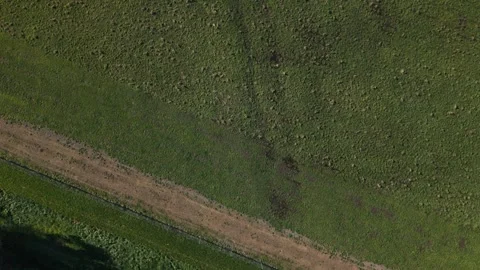 Aerial top-down view of dirt track crossing a green meadow Stock Footage 341272133