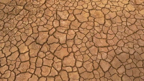 AERIAL TOP DOWN: View of dried land and cracked soil caused by long drought Stock Footage 183849715