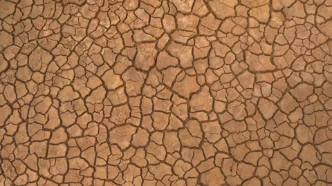 AERIAL TOP DOWN: View of dried area and cracked soil caused by long drought Stock Footage 183850250