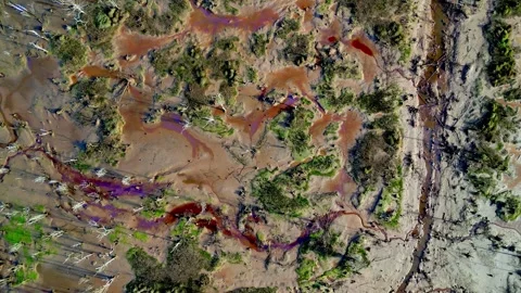 Aerial top-down view of a dried reservoir with mud cracks and dead vegetation Stock Footage 302015354