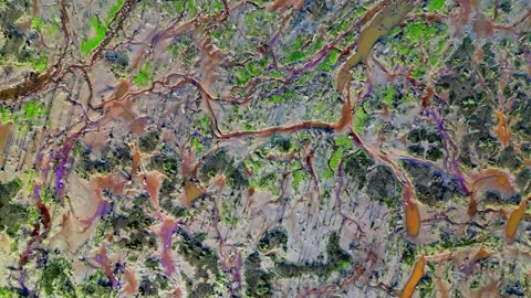 Aerial top-down view of dried riverbed with dead tree and erosion patterns Stock Footage 302015365