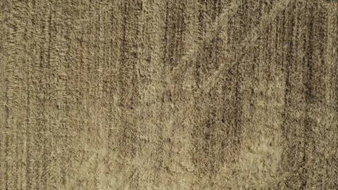 Aerial top down view; drone moving over the agricultural field Stock Footage 109589825