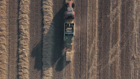 Aerial top down view from a drone Square Hay Bales field with tractor Baler Stock Footage 280138508