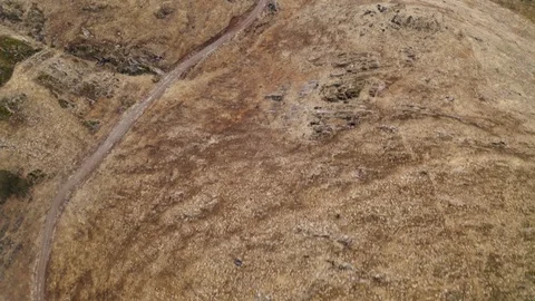 Aerial Top Down View of Dry Grass Hill Landscape with Boulders and Oak Trees Stock-Footage 123201033