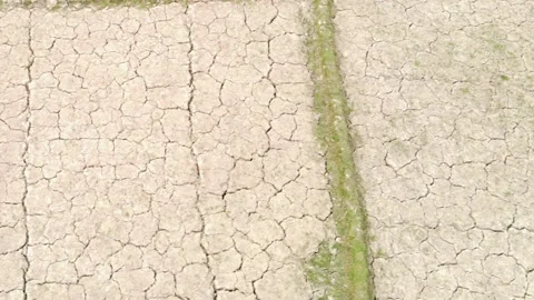 Aerial top down view of dry cracked soil, severe drought concept background Stock Footage 239428330