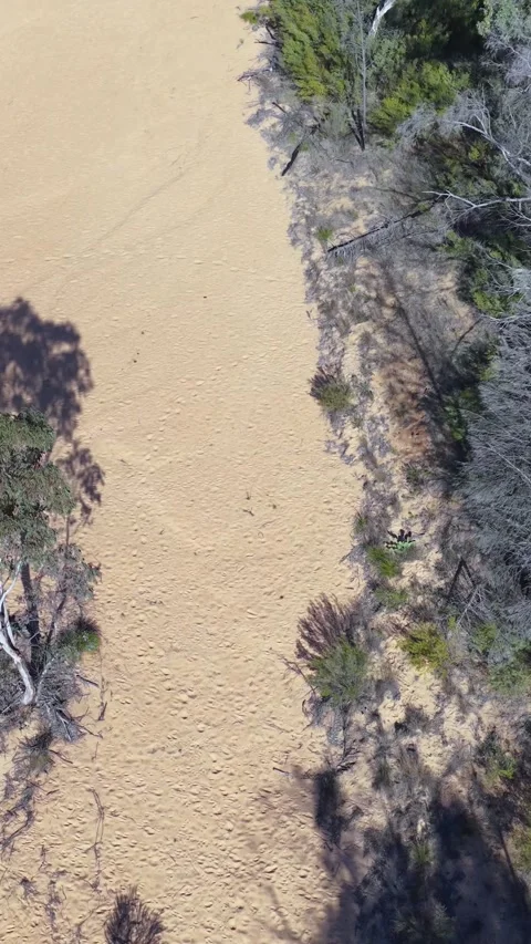 Aerial Top Down View of Dry Creek Bed and Outback Forest Video stock 346883201